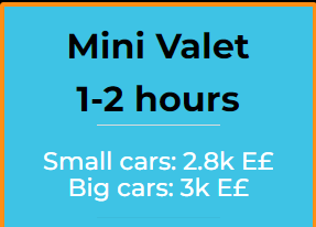 Mini Valet